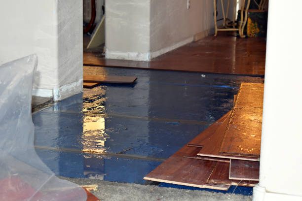 Professional Basement Flood Cleanup technician working in Roebling, NJ